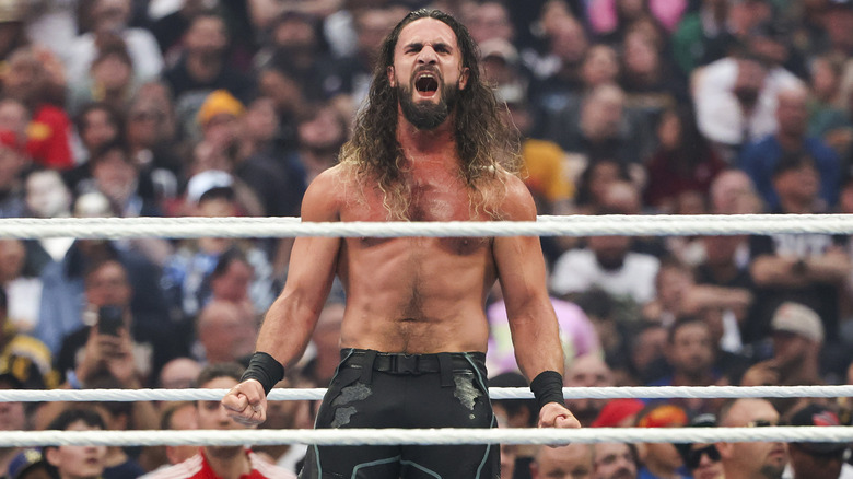 Rollins in the ring